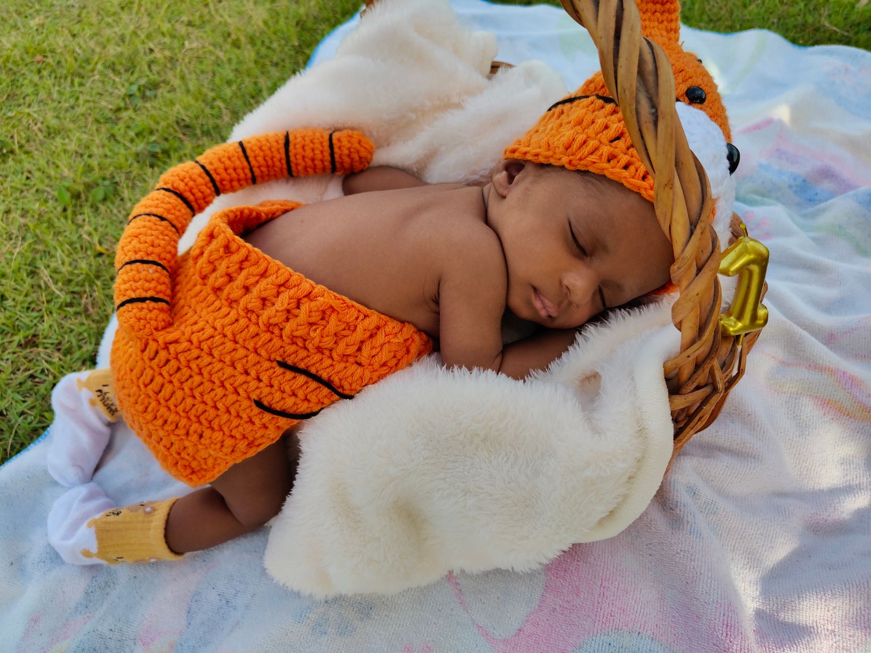 Newborn baby peacefully sleeping in a basket, wearing a cute orange knit outfit with a fox theme, outdoors on grass.
